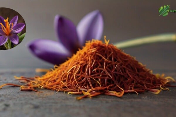 saffron